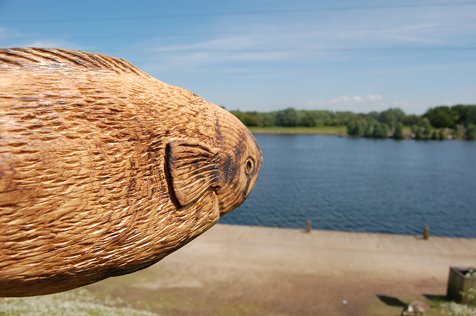 Sammy the Salmon at Sale Water Park.